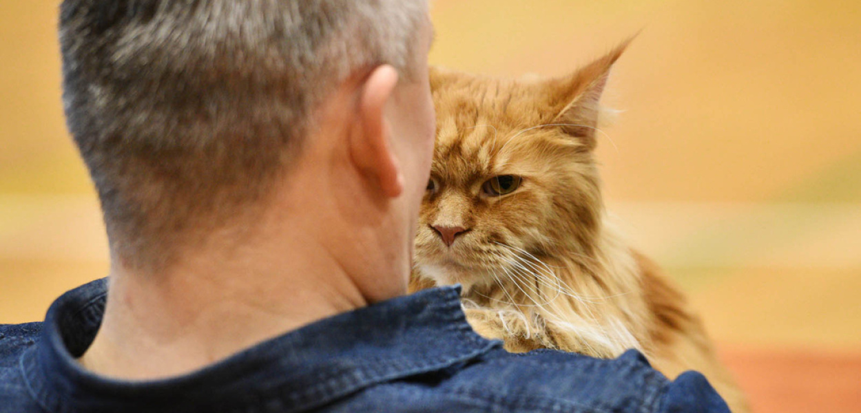 Ich Bracia Mniejsi, to członkowie ich rodzin