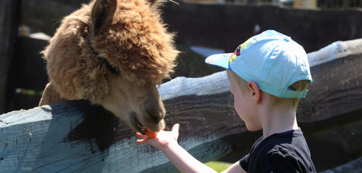 Weekend z LCA.PL. Zobacz co się działo