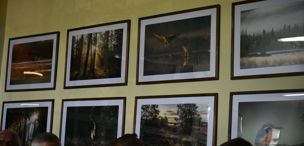 Ptaki dolnośląskich lasów w obiektywie przemkowskiego leśnika