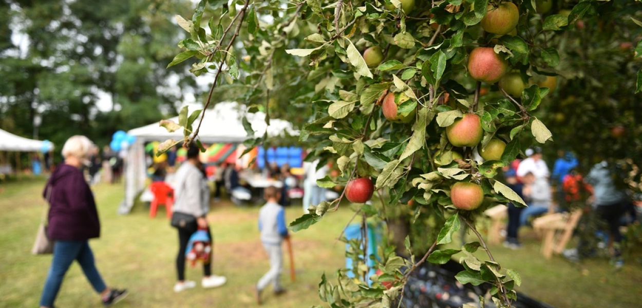 Zabawa w sadzie parafialnym z okazji święta patrona