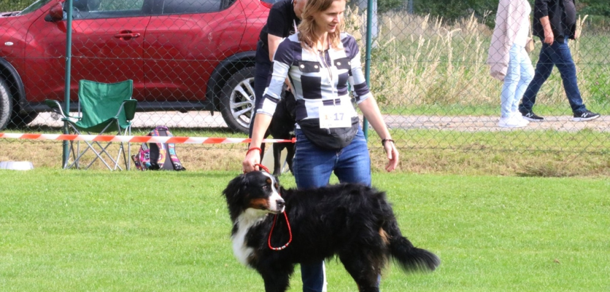 Psi artystokraci walczyli o zwycięstwo w Szczedrzykowicach