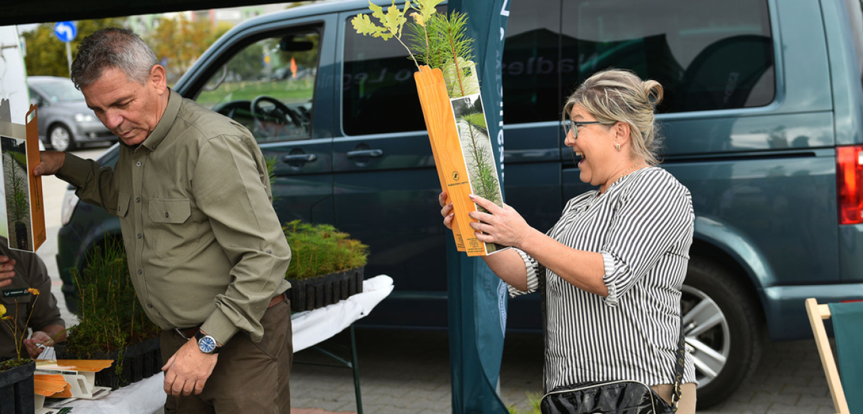 Oddawali elektrośmieci w zamian za sadzonki drzew