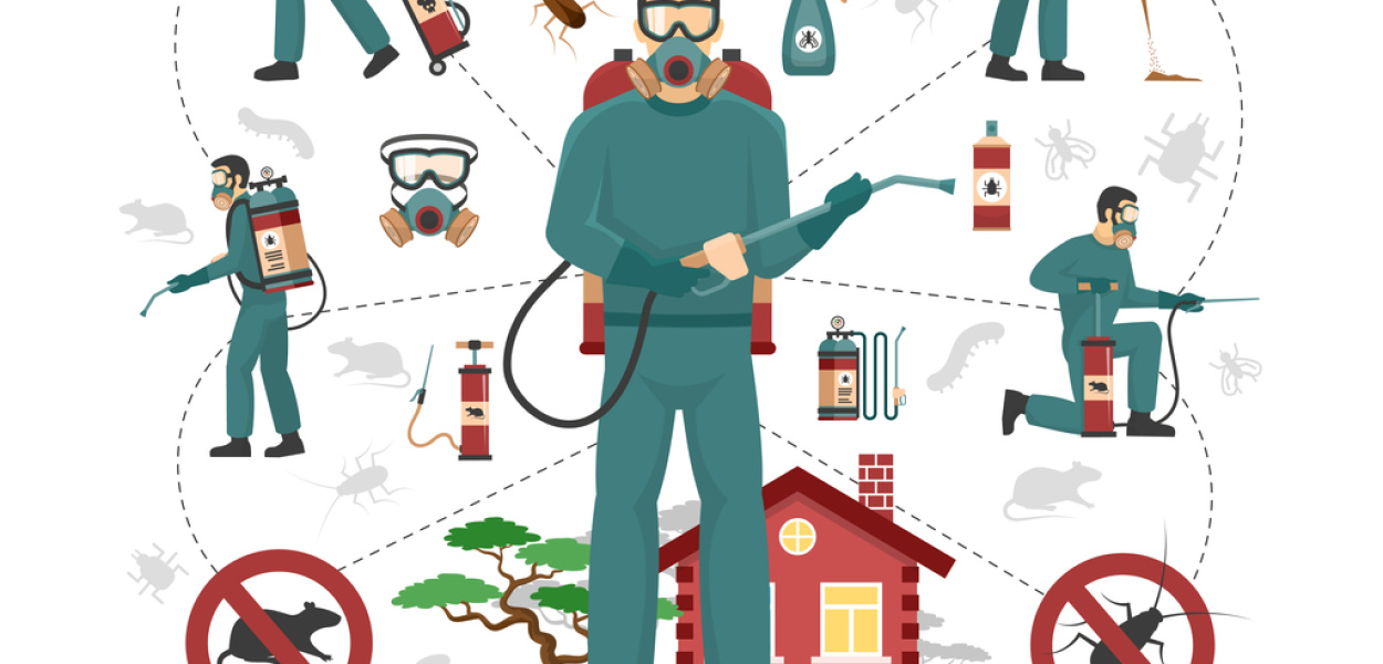  Jak rozpoznać obecność pluskiew w domu: Najważniejsze oznaki i…