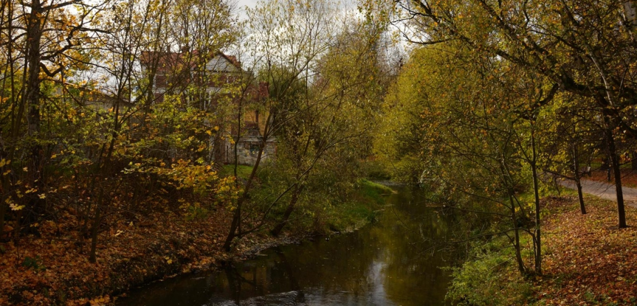Zapraszamy na fotograficzny spacer po jesiennym Chojnowie