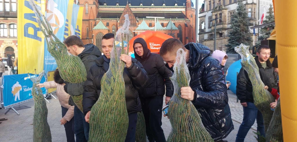 Świąteczne przeboje, pachnące choinki i pyszny karp zatorski