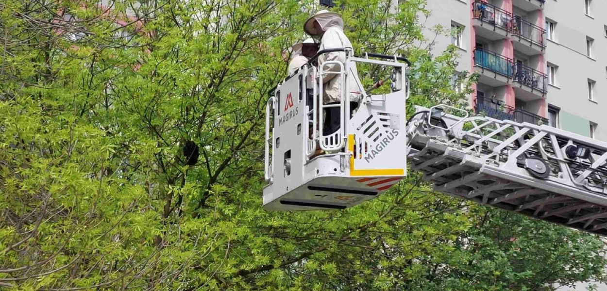 Są niebezpieczne, ale niezwykle pożyteczne