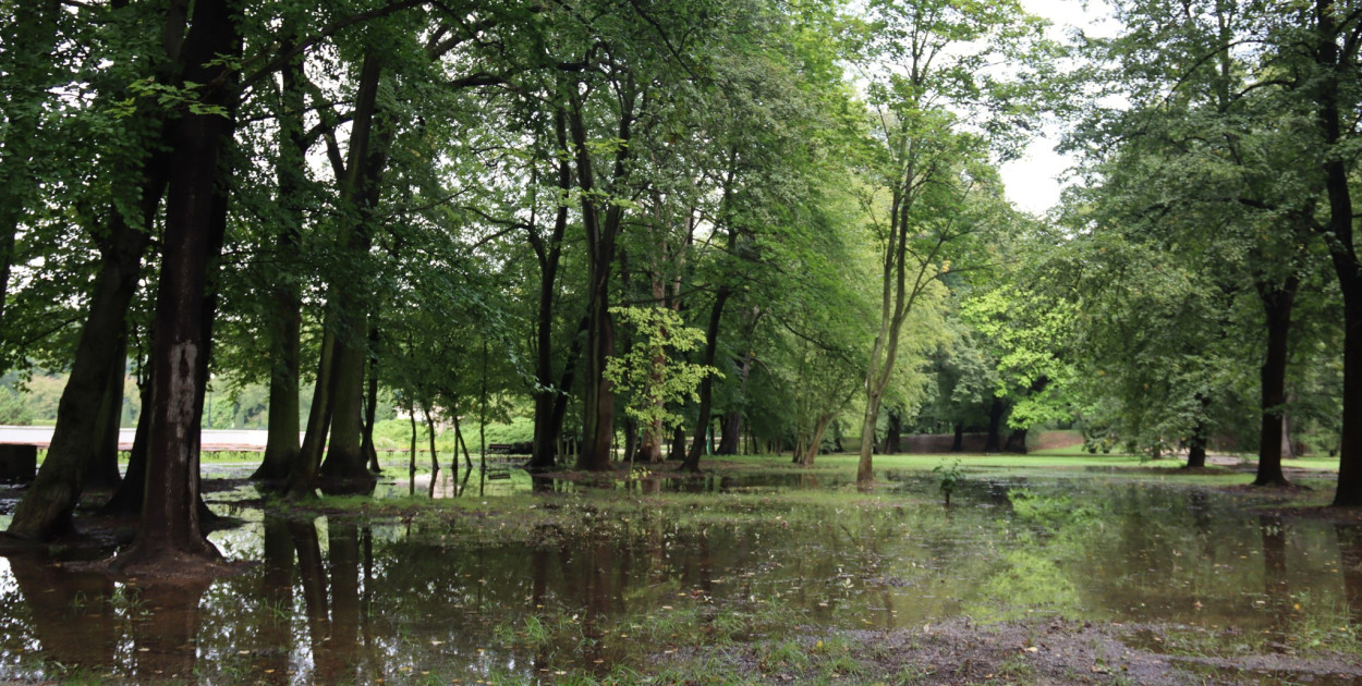 Wezbrane wody rzeki Kaczawa zalały ul. Gumińskiego w Legnicy