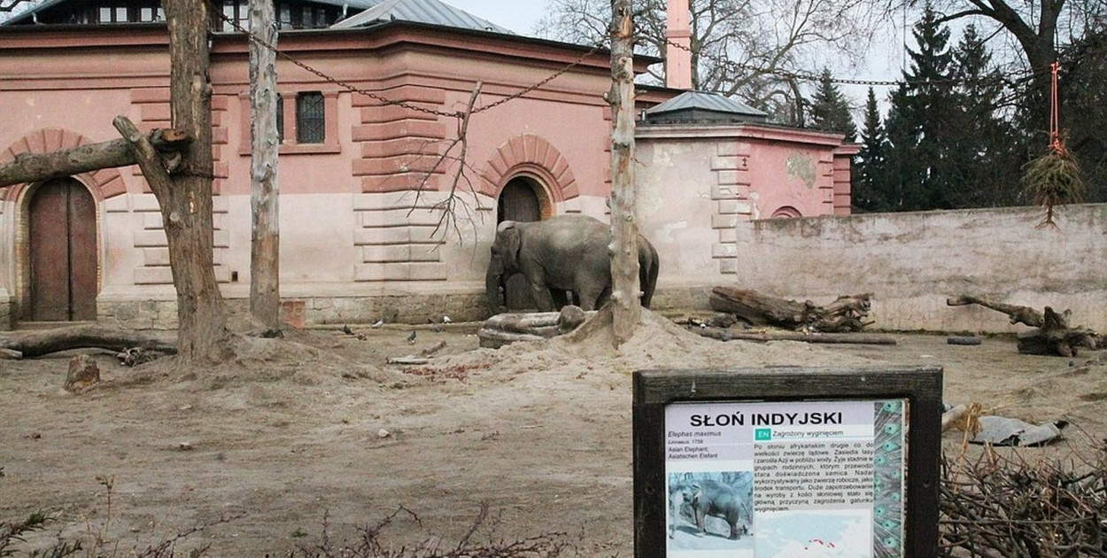 ZOO Wrocław (WP)