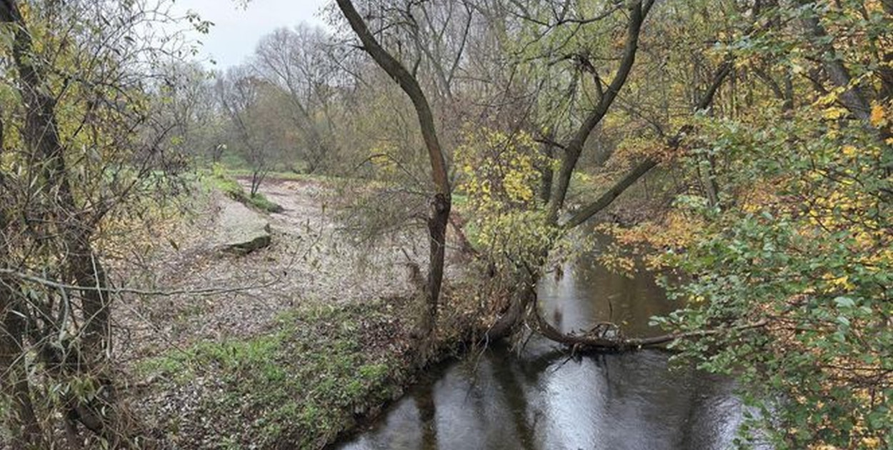 Rzymówka (https://www.muratorplus.pl/)