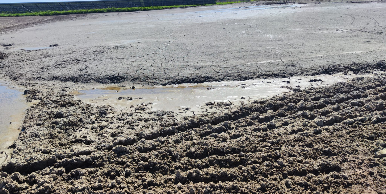 Co dzieje się z mułem z Koziego Stawu? Odpowiedzi nadal brak