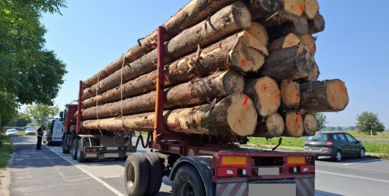 Zabójczy zestaw przewoził 15 ton za dużo na A4 (mat. prasowe)