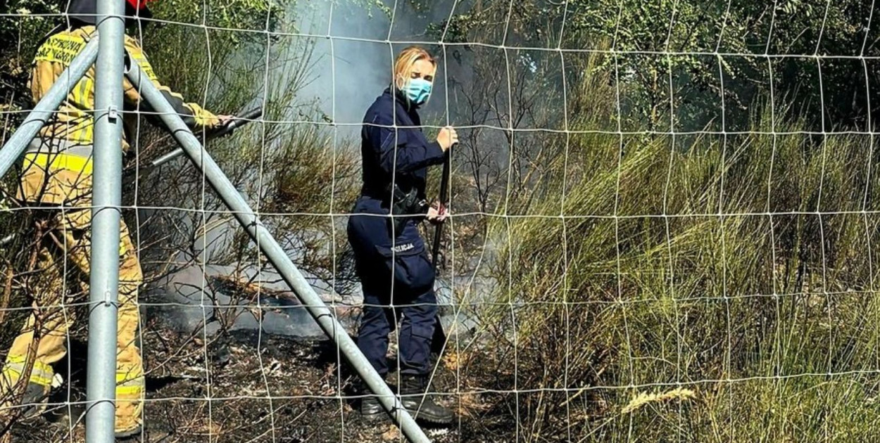 Chojnowscy policjanci gasili pożar traw przy autostradzie A4 (źródło: KMP Legnica)
