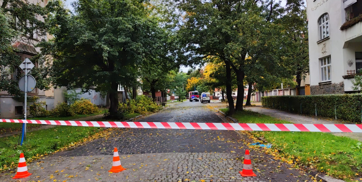 Wichura połamała drzewo na ul. Kolbego (Wojciech Obremski lca.pl)