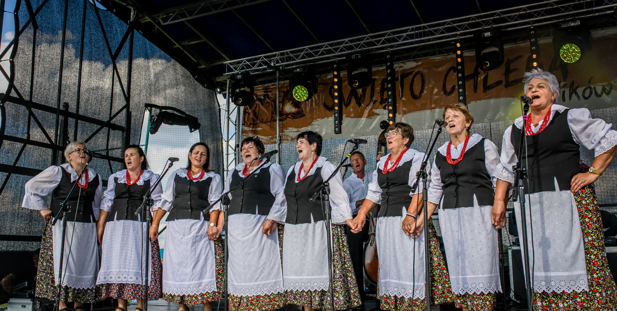 Dolnośląskie Spotkanie Muzyków Ludowych (mat. prasowe)