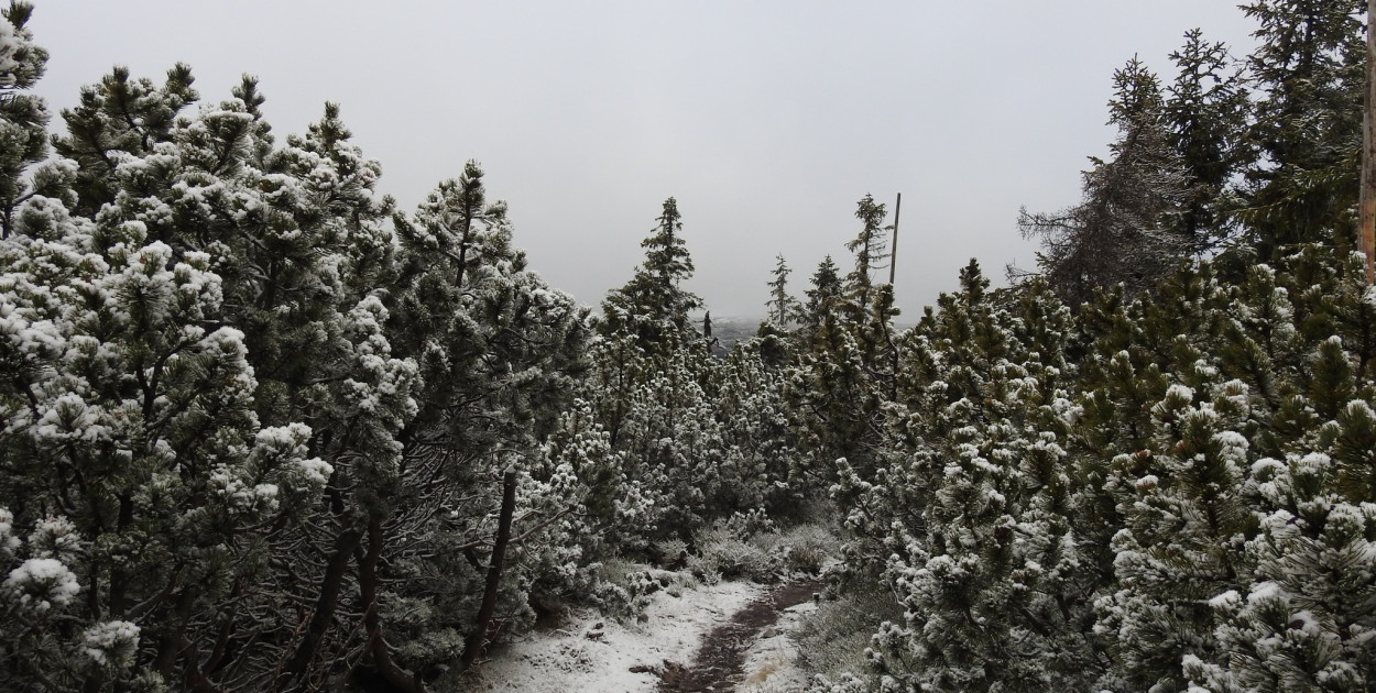 Zima zawitała do Karkonoszy. Spadł pierwszy śnieg (źródło: Fb Karkonoski Park Narodowy )