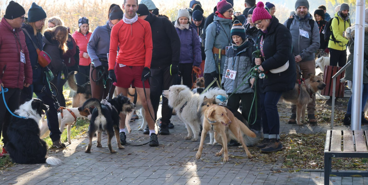  DogTrekking w Kunicach  (Wojciech Obremski)