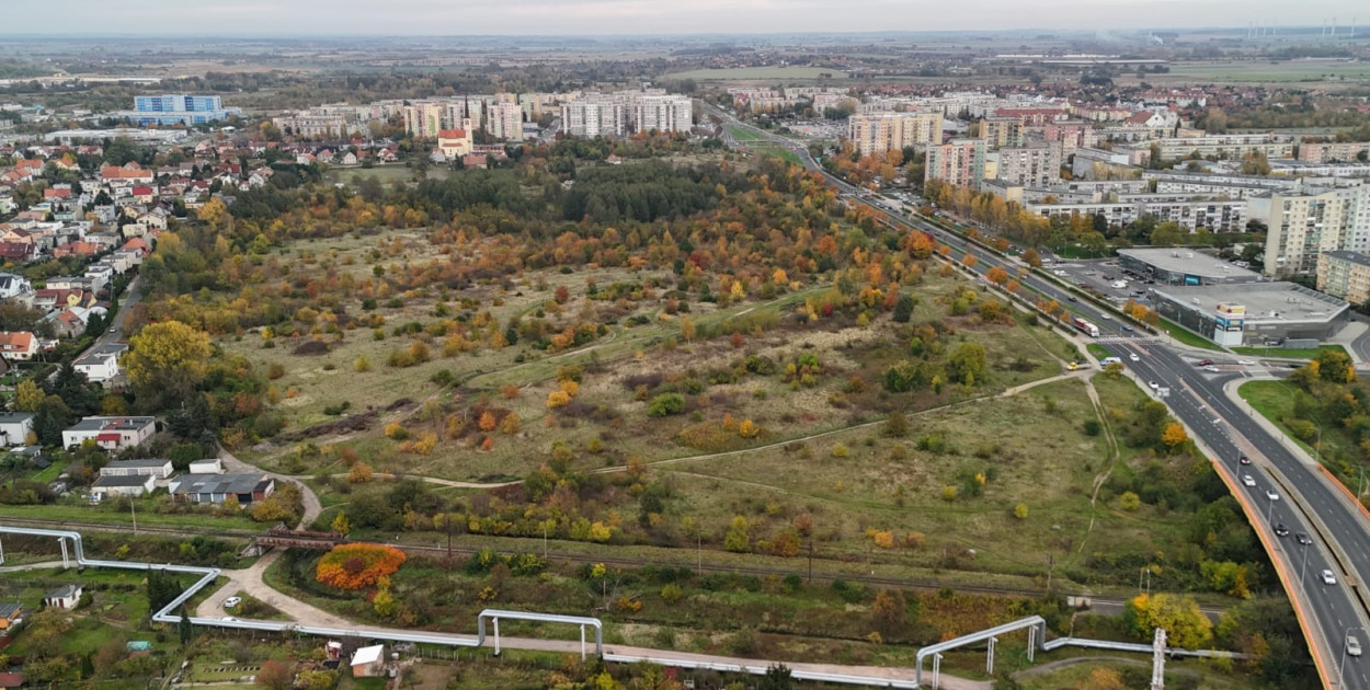 Jednostka Piekary D (Piotr Florek lca.pl)