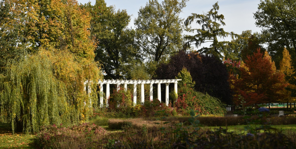 Park Miejski (Piotr Florek lca.pl)
