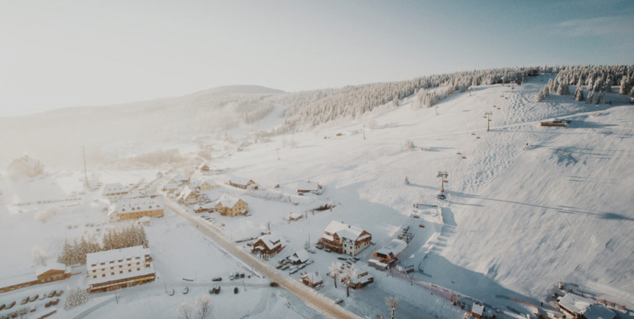 Zieleniec (https://zieleniec.pl/)