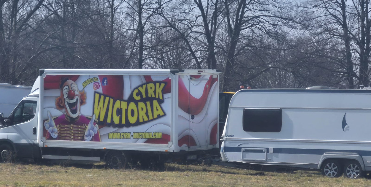 Wypadek w cyrku (Piotr Florek)