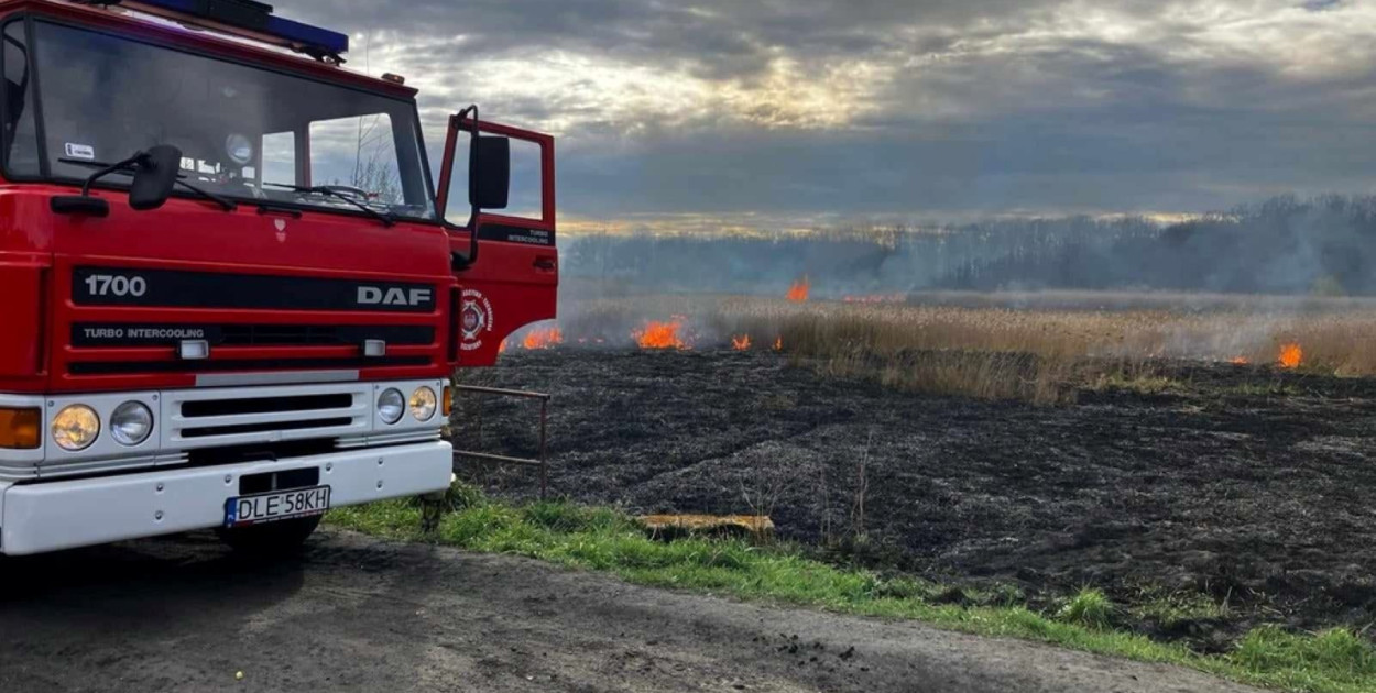 Pożar traw w Rzeszotarach (Wojciech Obremski lca.pl)