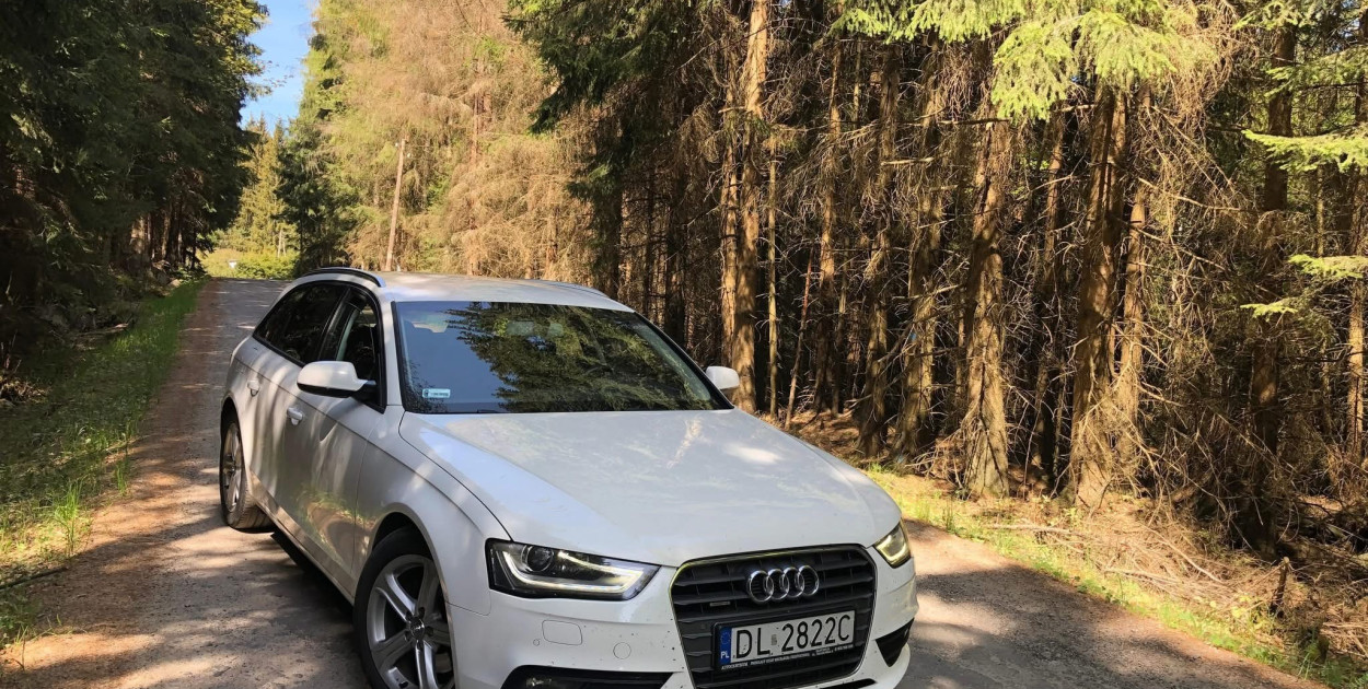 Skradziono Audi A4 B8 w Legnicy (lca24)