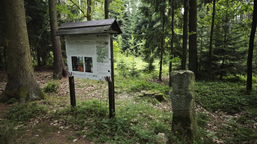 Szlak kamiennych krzyży