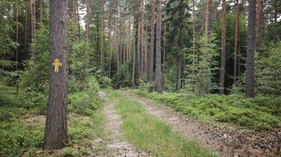 Szlak Kamiennych Krzyży Pokutnych