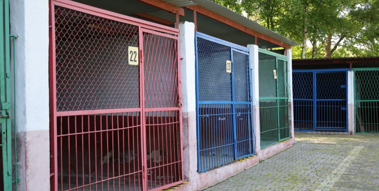 Schronisko dla Bezdomnych Zwierząt (Wojciech Obremski lca.pl)