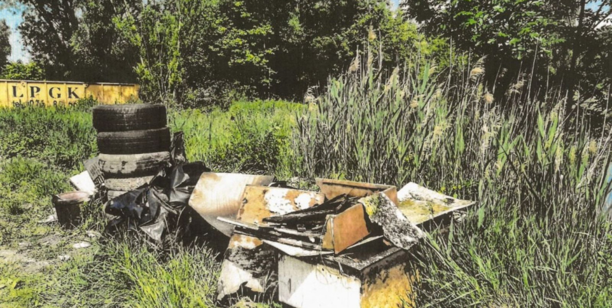 48 ton śmieci usuniętych z dzikich wysypisk (źródło: UM Legnica)