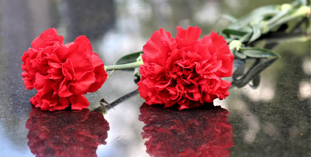 Image by Goran Horvat from Pixabay