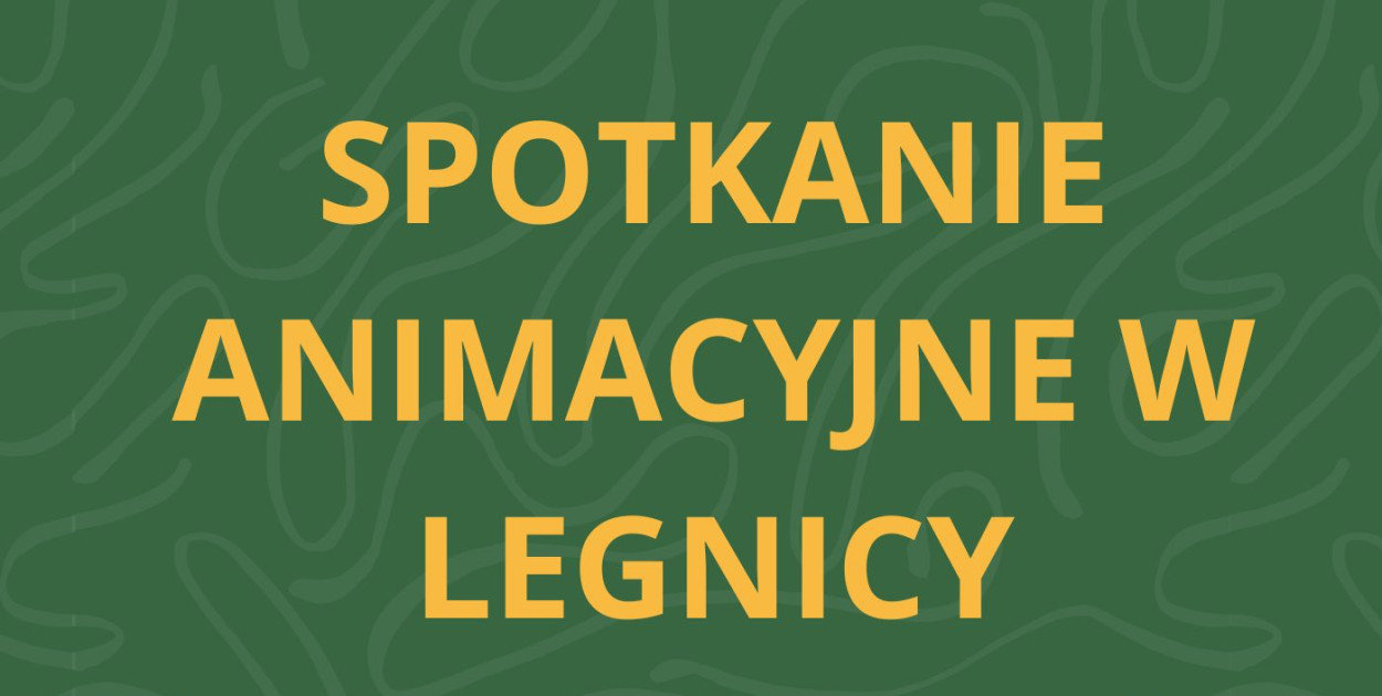 Spotkanie informacyjne o grantach dla NGO w Legnicy  (Mat. prasowy)