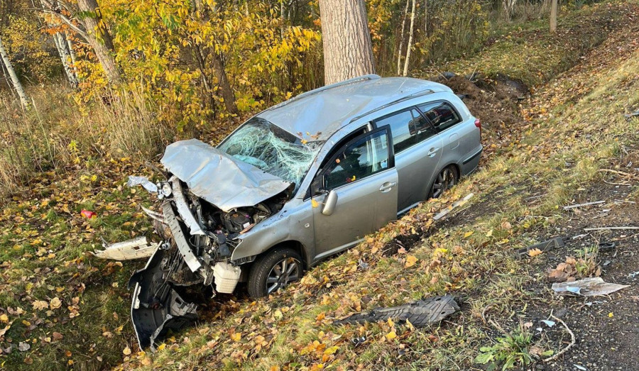 Dachowanie na krajowej 94 w Lipcach (Fot.: st. str. Konrad Bełza)