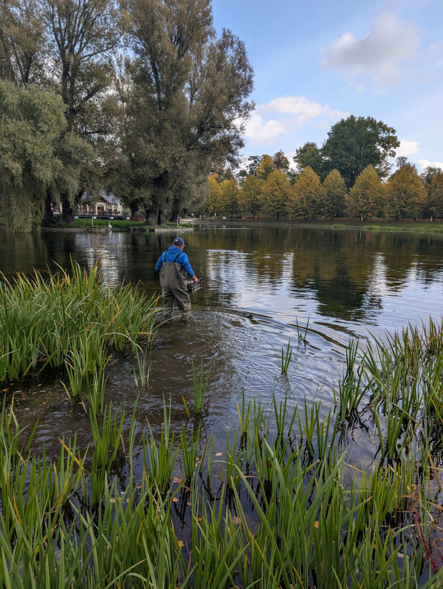 Zakończono nasadzenia na Kozim Stawie (źródło: Fb. Jacek Baszczyk)