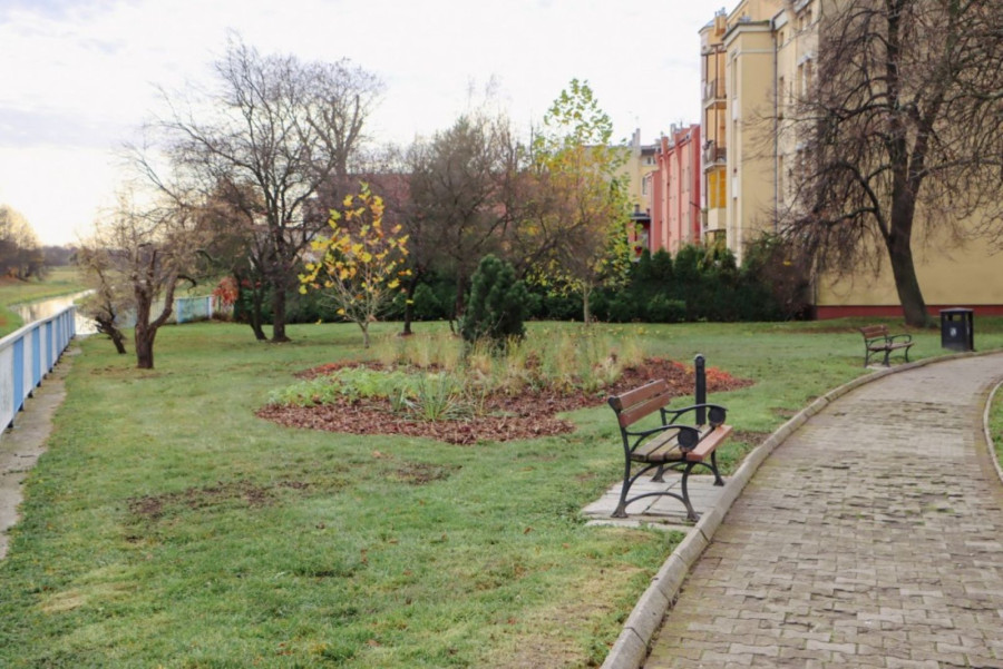 Odnowiony zieleniec przy ul. Jordana źródło: UM Legnica)