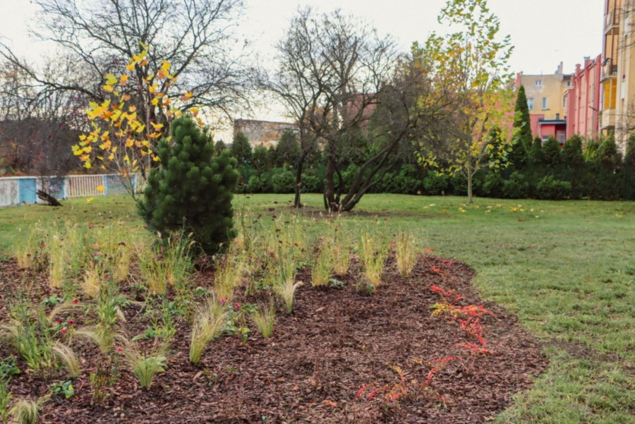 Odnowiony zieleniec przy ul. Jordana źródło: UM Legnica)