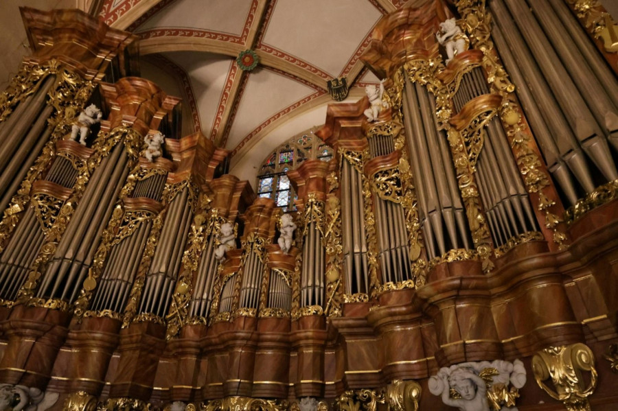 Katedra pw. Św. Piotra i Pawła (Wojciech Obremski lca.pl)