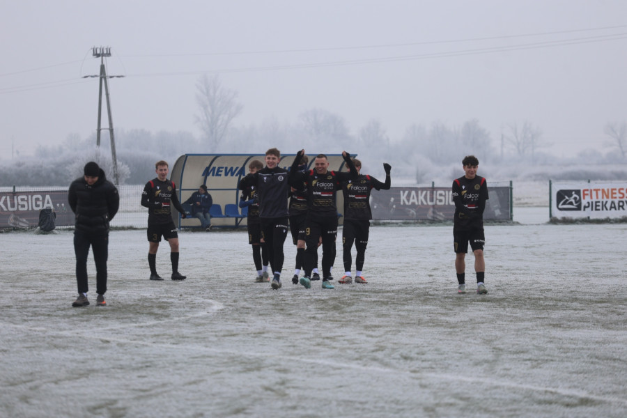 Mewa Kunice (Wojciech Obremski)