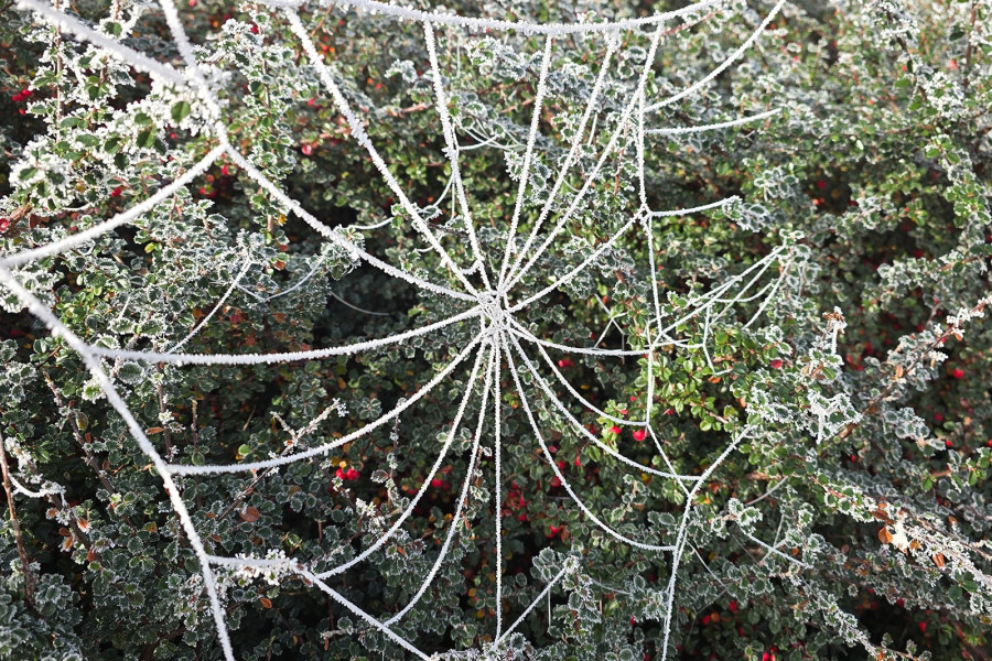 Zima musnęła delikatnie miasto (Piotr Florek lca.pl)