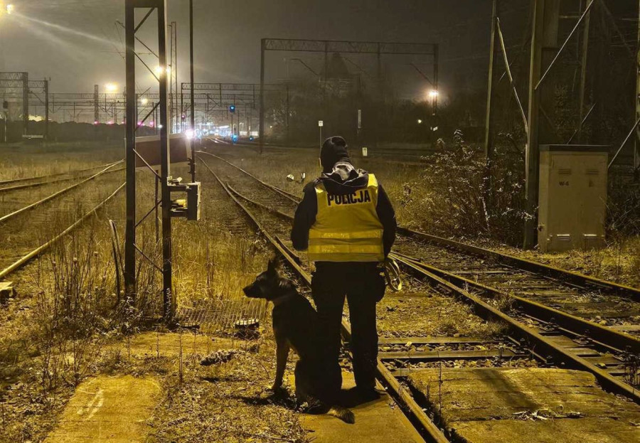 Akcja „TOR” w powiecie legnickim (źródło: KMP Legnica)