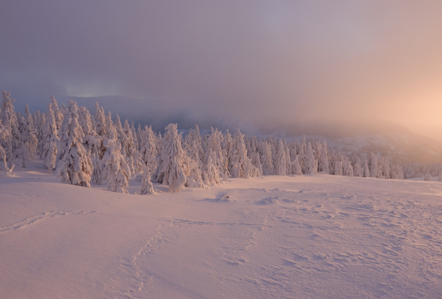Karkonoski Park Narodowy (źródło: Fb. Karkonoski Park Narodowy)