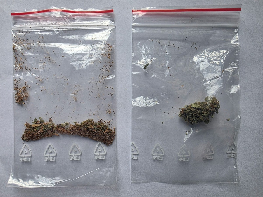 Policjanci znaleźli przy nim marihuanę (źródło: KMP Legnica)