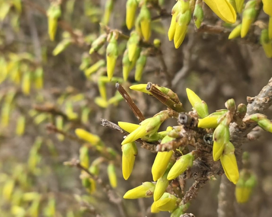 „A wiosna przyszła pieszo” (Piotr Florek lca.pl)