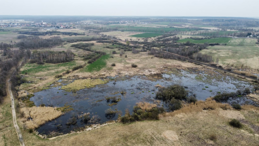 „Rzeź wraca?”. Tama znów jest niszczona (Dominik Skoczek)