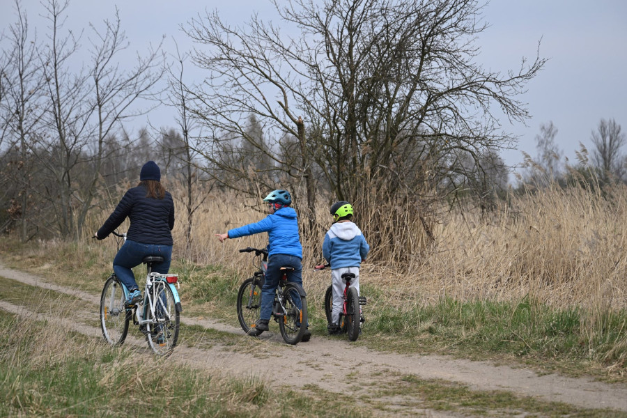 To miejsce spacerów wielu rodzin (Piotr Florek lca.pl)