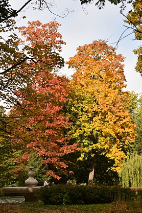 Otulony barwami jesieni park w całej okazałości-20928