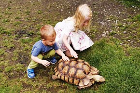 Mini Zoo Piotrówek – atrakcja dla całej rodziny-22242