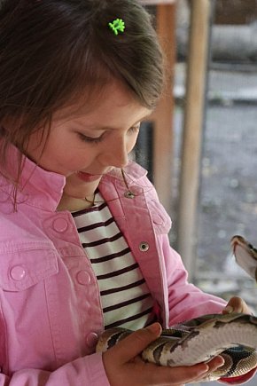 Mini Zoo w Piotrówku – wielka atrakcja dla dzieci-22292