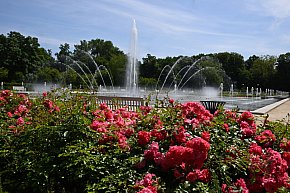 Park Miejski powitał lato-22352