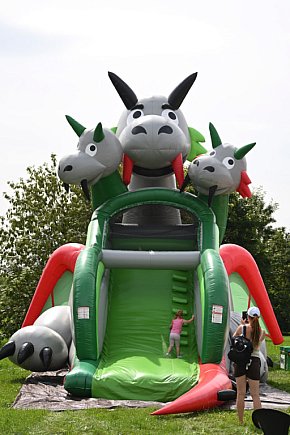 Festiwal Dmuchańców w Legnicy – moc atrakcji-22576